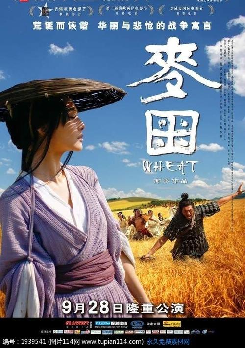 怎么办假荷兰护照